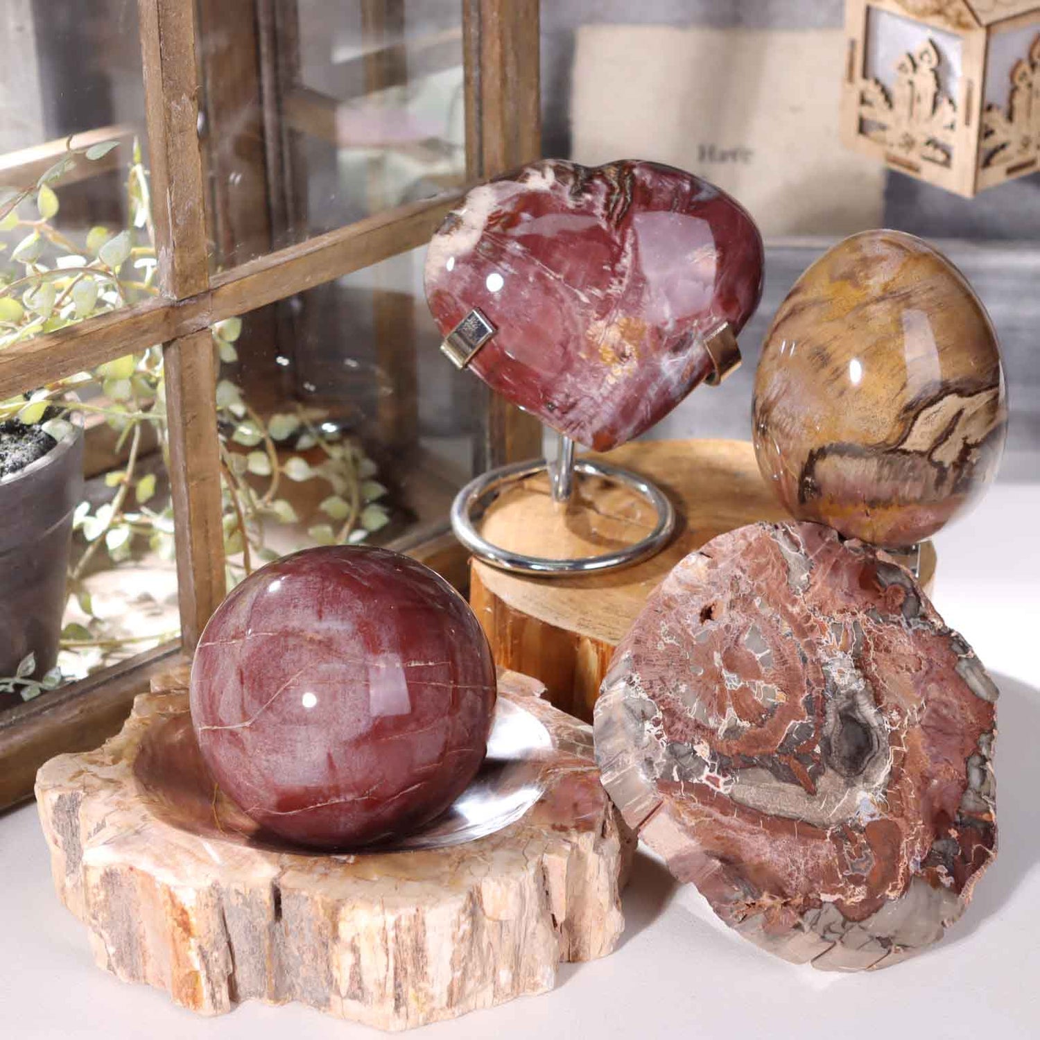 Petrified Wood