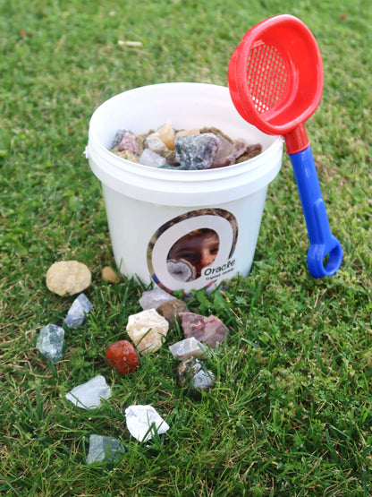 Sand & Rock Exploration Bucket