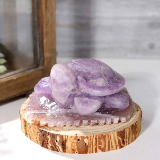 Amethyst Agate Turtle