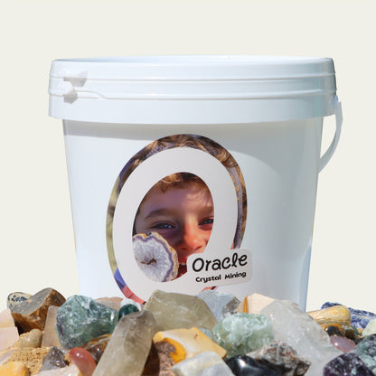 Sand & Rock Exploration Bucket