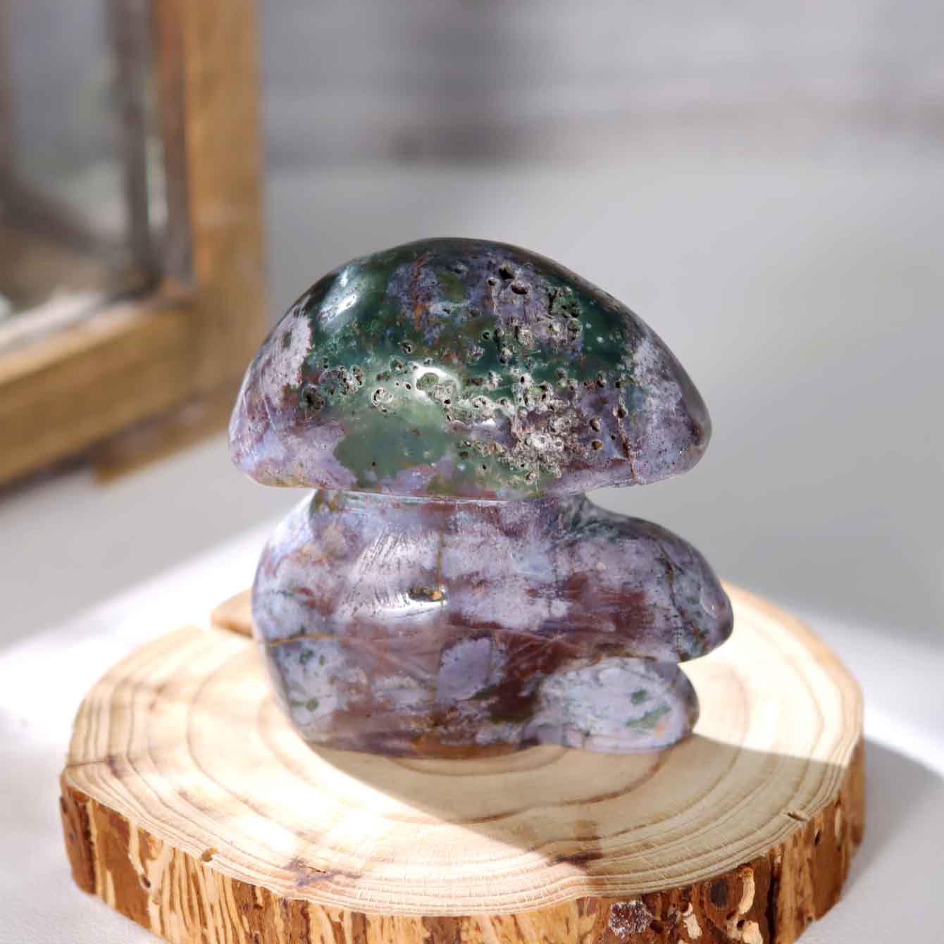 Ocean Jasper Mushroom