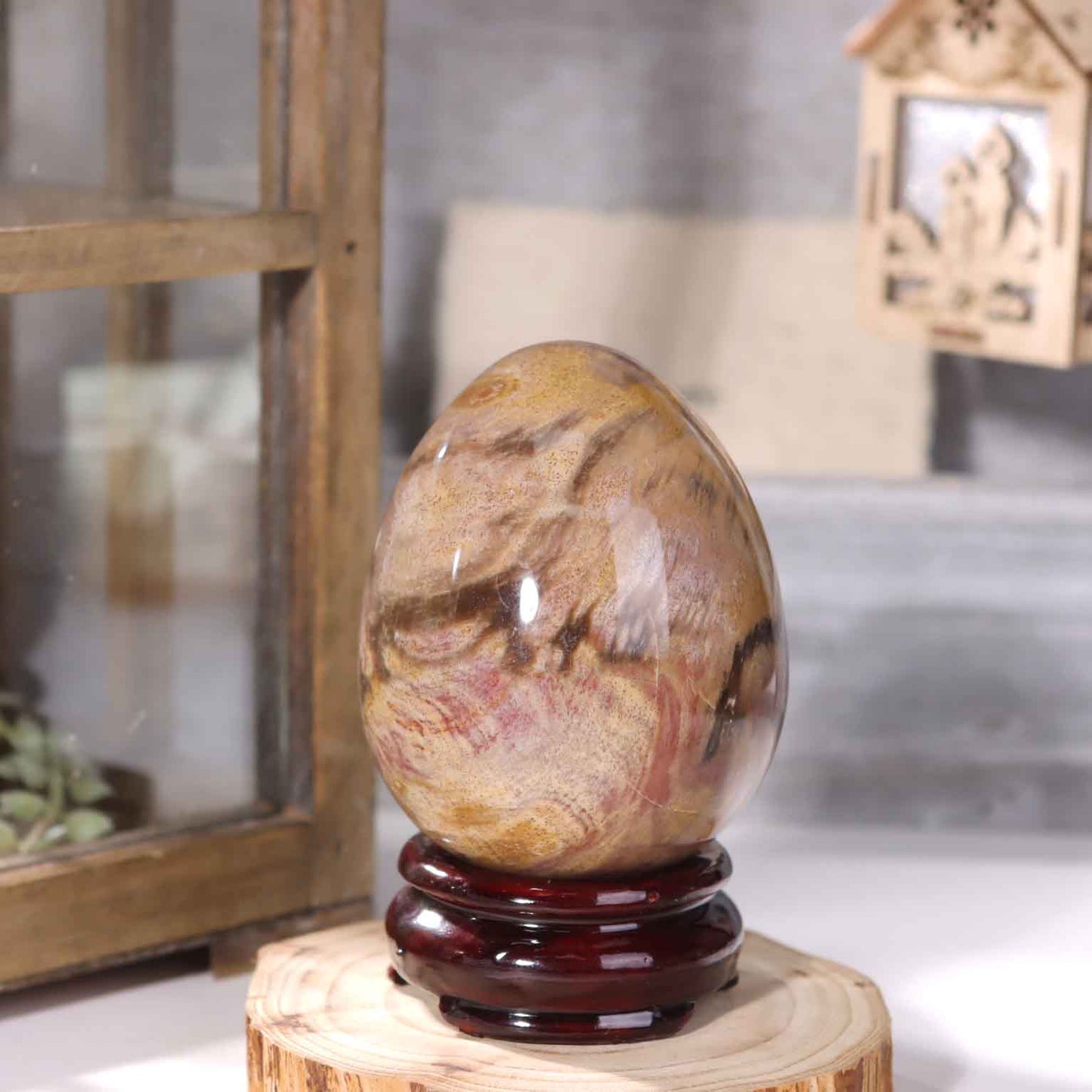 Petrified Wood Egg