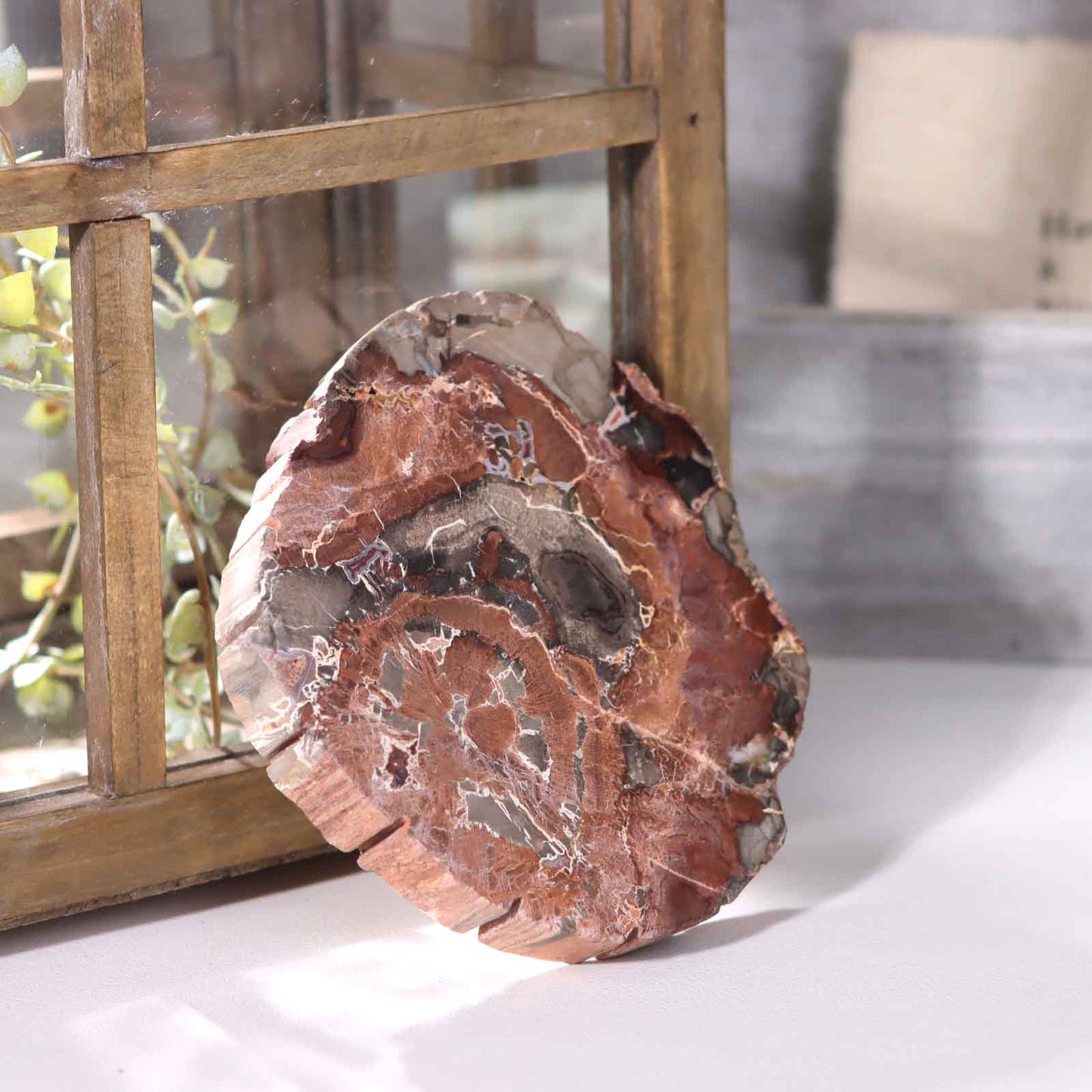 Petrified Wood Bowl