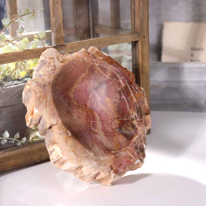 Petrified Wood Bowl