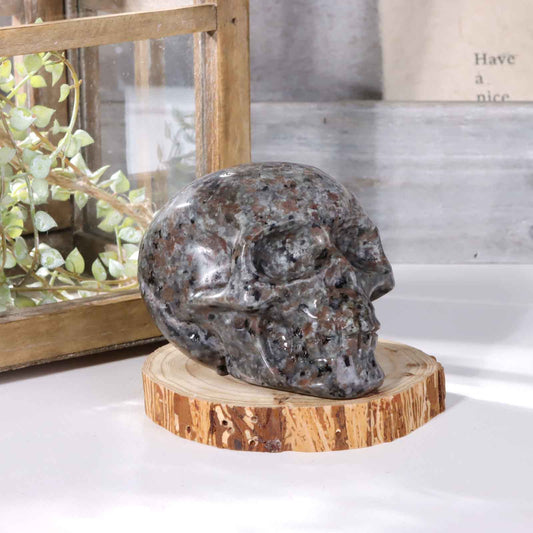 Yooperlite Skull