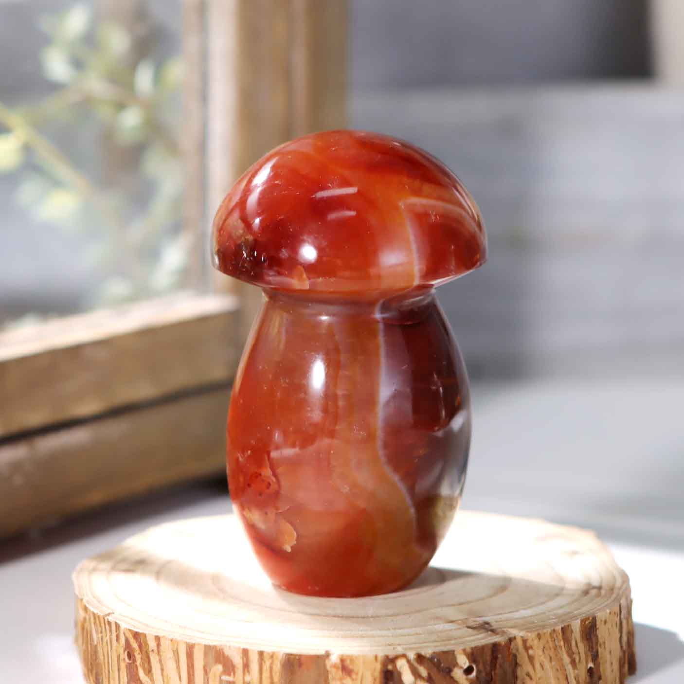 Carnelian Mushroom